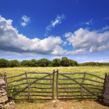 Menorca traditional wooden gate in spring at Balearic islands of Spain