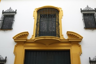 Tipycal facade in seville andalucia spain