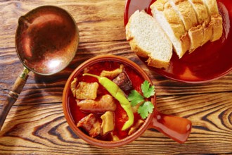 Tapas Callos madrilena typical from Madrid Spain