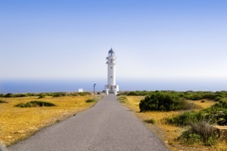 Barbaria Lighthouse cape Formentera Balearic Islands in golden grass meadow blue sky