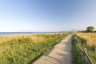Footpath at the shoreline of the Baltic Sea during scenic evening light in Pottloch in Northern