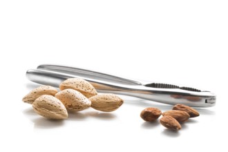 Some almonds (Prunus dulcis) in shell against a white background