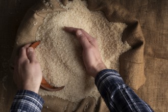 Human hands holding handful of rice over burlap sack