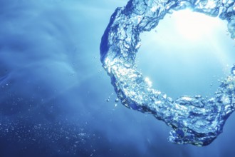 Bubble Ring Underwater ascends towards the Sun
