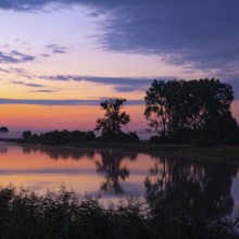 River Warta at dawn