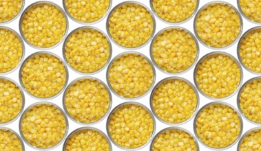 Seamless food background of flat lay view of opened tin cans with sweet corns isolated on white