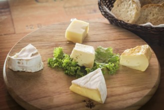 Mixed traditional french cheese platter with bread