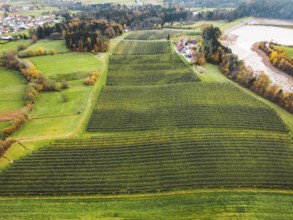 Aerial view of orchard somewhere in the countryside. Apple orchard, covered with protective net