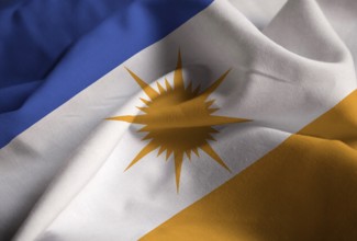 Ruffled Flag of Bandeira do Tocantins Blowing in Wind
