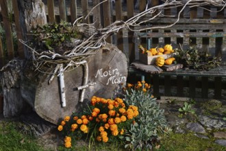 Garden in Autumn in the Village Benzen, Walsrode, Lower Saxony, Germany, Europe