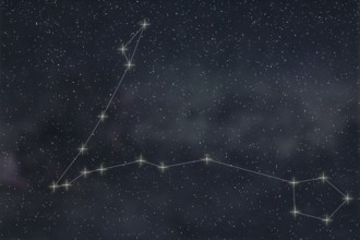 Pisces Constellation. Zodiac Sign Pisces constellation lines