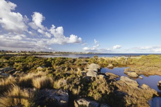 Jawbone Marine Sanctuary on a winter's day in Williamstown, Melbourne, Victoria, Australia, Oceania