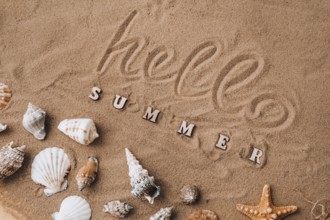 Composition with text HELLO SUMMER seashells, pebbles, mockup on sand background. Blank, top view,