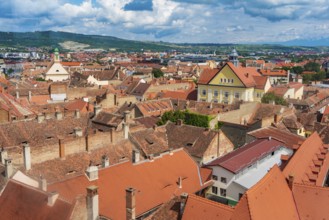 Aerial view of houses in Sibiu, Transylvania, Romania, Europe