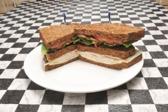 Delicious Amrican cuisine known as the turkey bacon club sandwich