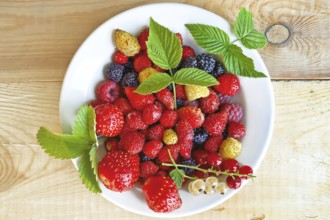 Strawberry, raspberry, blackberry, white and red currant, green leaves of strawberries and