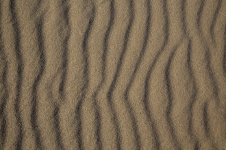 Beach sand dunes texture from California Pacific coast