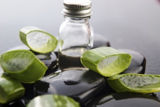 Sliced aloe leaves with oil on the stone, lodz, poland