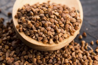 Buckwheat seeds on wooden spoon in closeup, lodz, poland