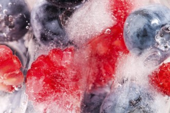 Raspberry and blackberry frozen in ice sticks, POLAND