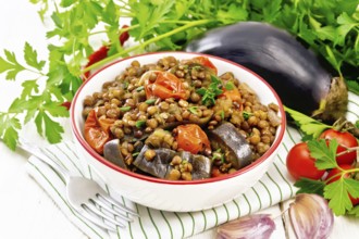 Green lentils stewed with eggplant, tomatoes, garlic and spices in a bowl on a napkin, parsley on