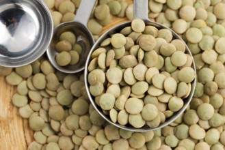 Dry Organic Green Lentils, lodz, poland
