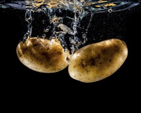 An image of two potato in the water