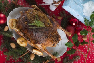Christmas goose