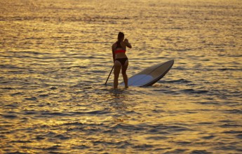 SUP Stand up Surf girl with paddle at sunset