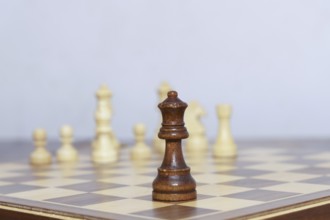 Chess queen piece in the foreground during a game on a white background