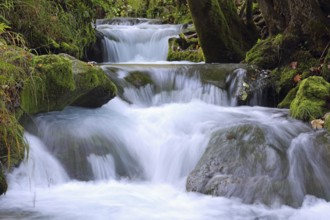 River, terraces, close to nature, Swabian Alb, near Bad Urach