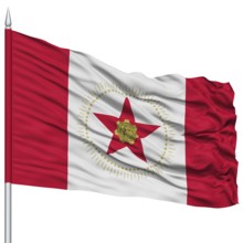 Birmingham City Flag on Flagpole, Alabama State, Flying in the Wind, Isolated on White Background