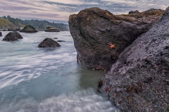 Shoreline Beach Scene from Northern California, Color Image