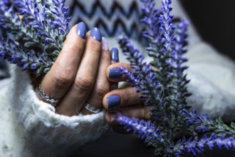 Close-up of hands with blue nails and rings, gently holding a lavender stem, against a textured