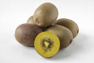 Kiwi fruit on a white background