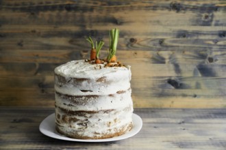 Carrot cake on a plate on wooden background.