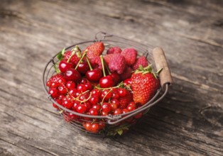 Red summer fruits in metal basket on the table
