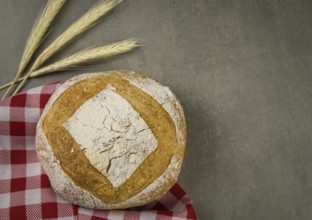 Beautiful Sourdough bread on gray background with dried wheat flower