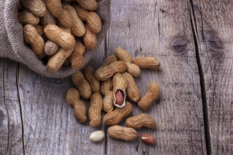 Peanuts in a burlap sack on wooden background