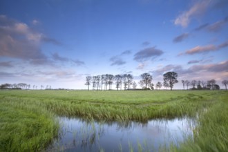 Blue sky reflected in river on meadows, Netherlands