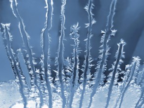 Frosty natural pattern on winter window
