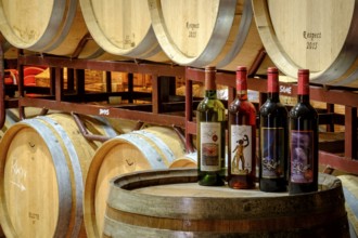 Bodegas Bordoy, llucmajor, Mallorca, balearic islands, spain