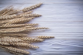 Stack of wheat rye ears on wooden board food and drink concept