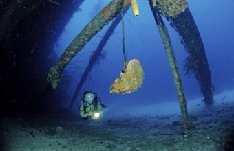 Diver on the Hilma Hooker shipwreck, Netherlands Antilles, Bonaire, Caribbean, Caribbean Sea