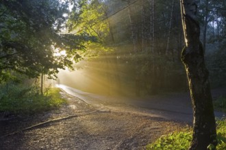 The sun's rays break through the fog. Early evening