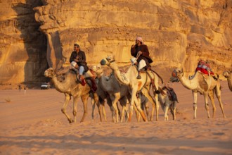 Jordan, Wadi Rum, November 2, 2022: Caravan of camels with drovers in the desert, rock mountains at