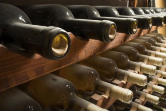 Wine bottles on shelf. Wine cellar. Close up wine bottles