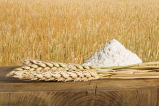 Bread, flour and wheat cereal crops. Cereal crops on the background