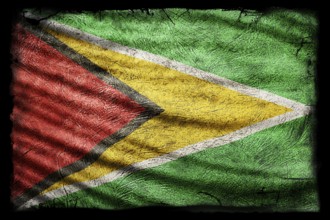 Guyana Flag, Grunge Texture Background
