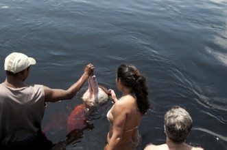 2012-02-09_17-03-28_DSC_7444.jpg, Brasil
